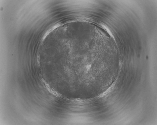 X0000088200827200706051229