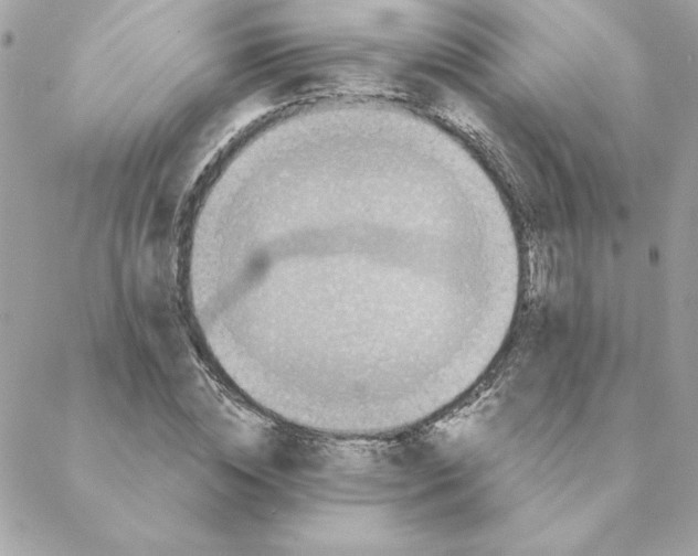 X0000088200828200706051229