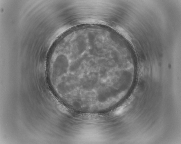 X0000088200831200706051230