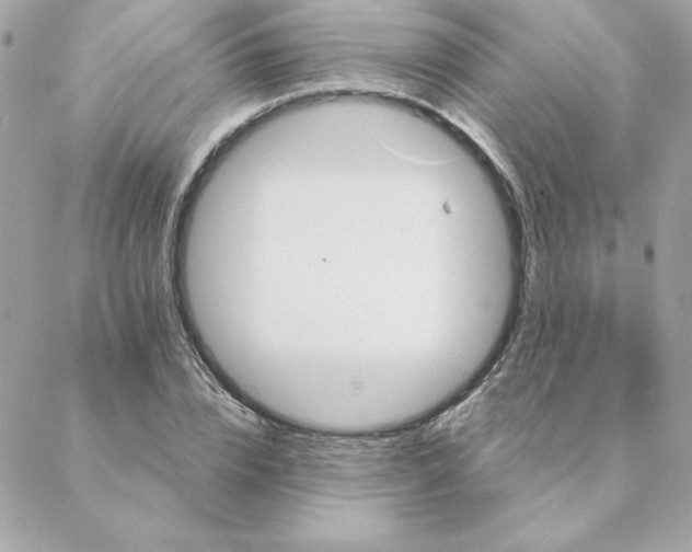 X0000088200832200706051230