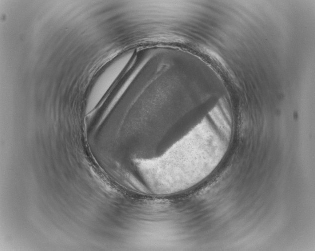 X0000088200833200706051230