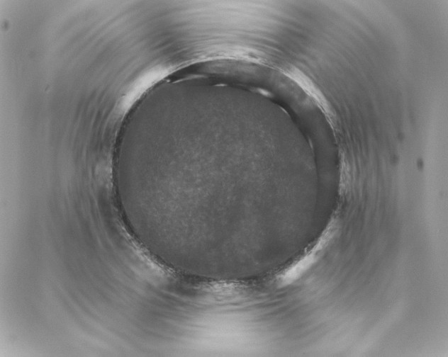 X0000088200834200706051230