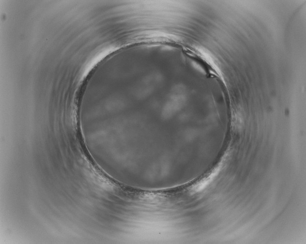 X0000088200835200706051230