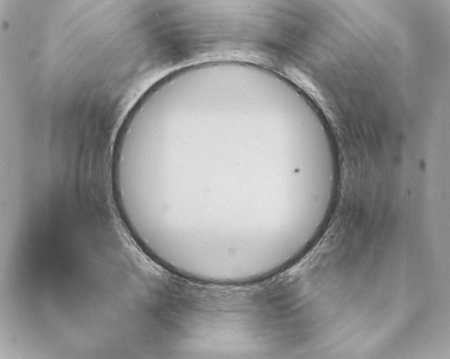 X0000088200836200706051230