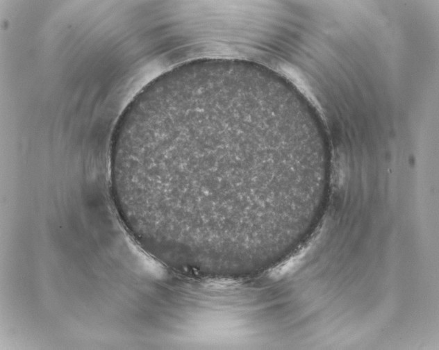 X0000088200837200706051230