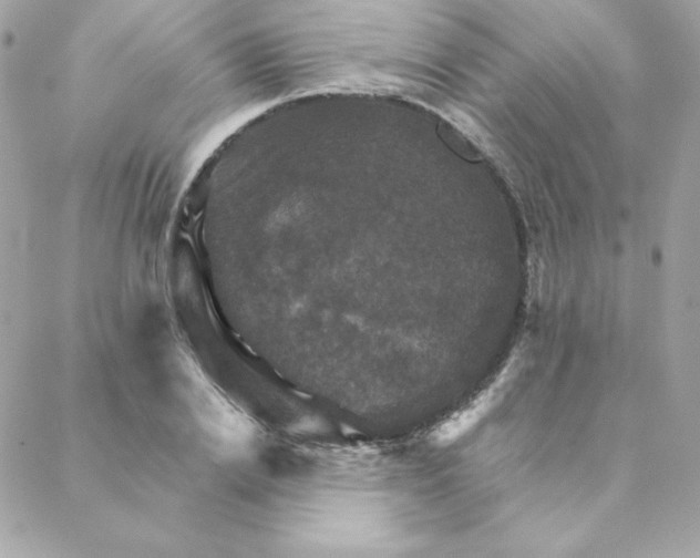 X0000088200838200706051230