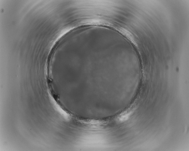 X0000088200839200706051230