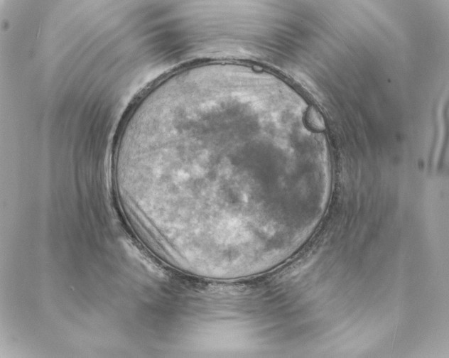 X0000088200840200706051230