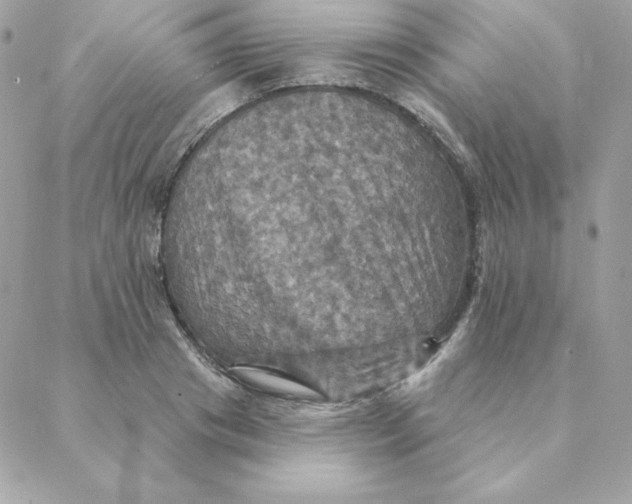 X0000088200841200706051230