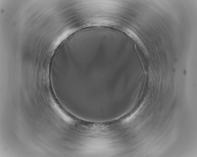 X0000088200842200706051230