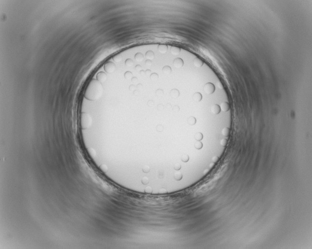 X0000088200843200706051230