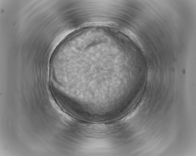 X0000088200844200706051230