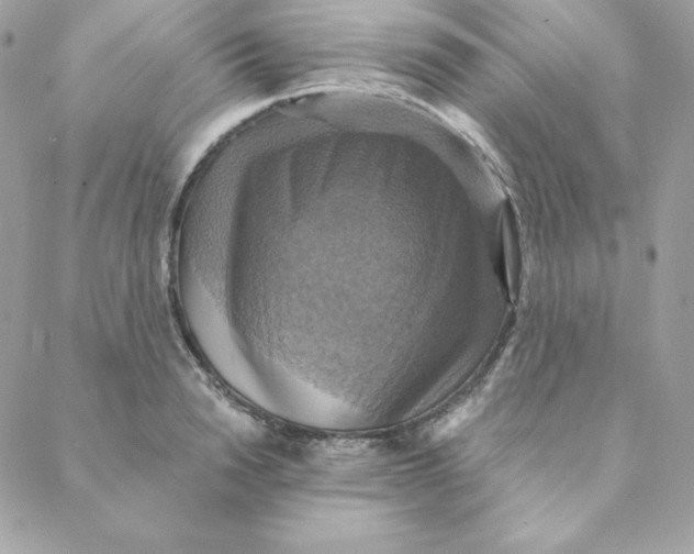 X0000088200846200706051230