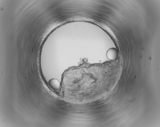 X0000088200847200706051230