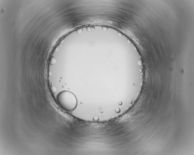 X0000088200848200706051230