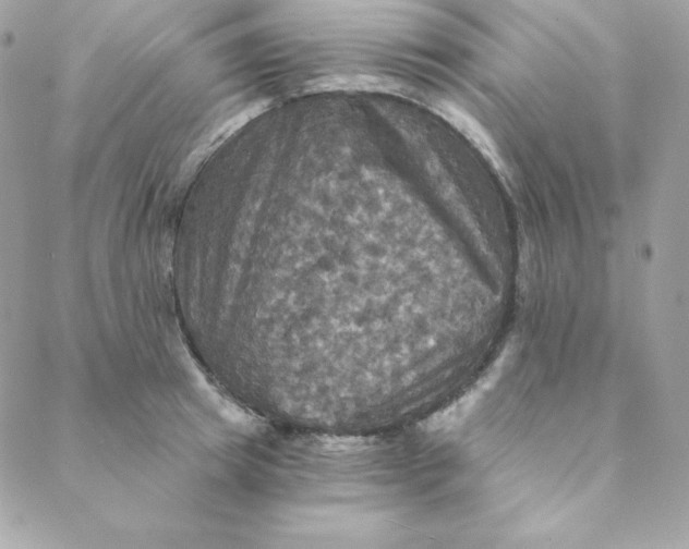 X0000088200849200706051230