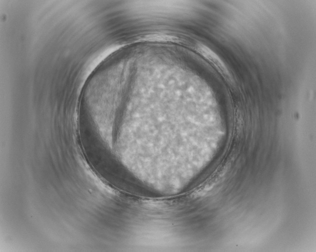 X0000088200852200706051230