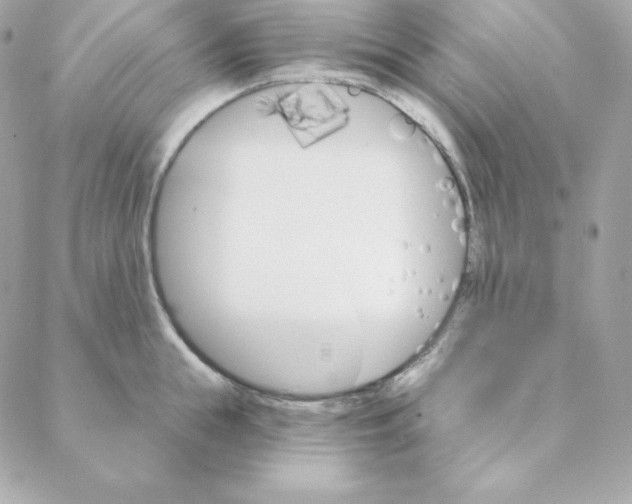 X0000088200855200706051230