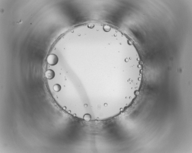 X0000088200856200706051230