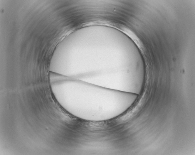 X0000088200857200706051230