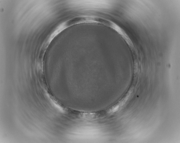 X0000088200858200706051230