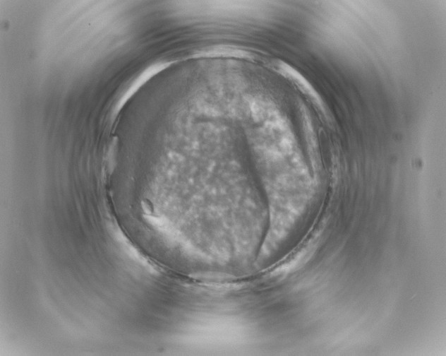 X0000088200860200706051230