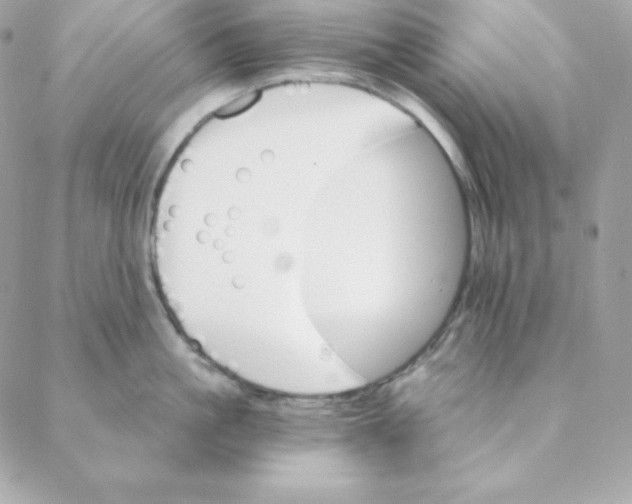 X0000088200861200706051230