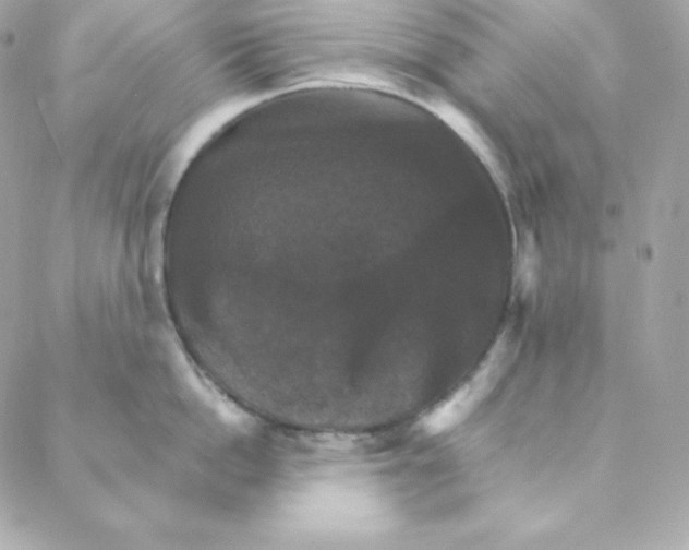 X0000088200862200706051230