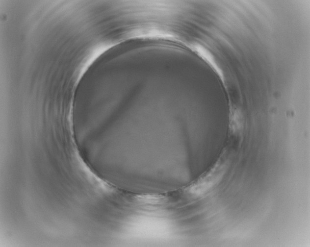 X0000088200863200706051230