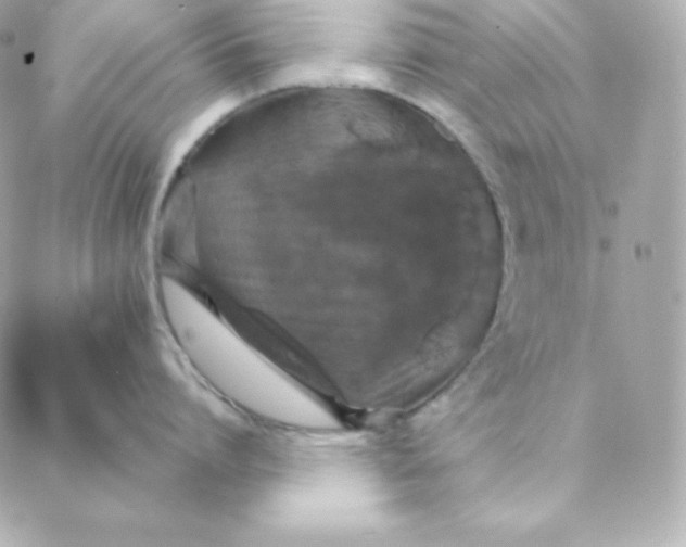 X0000088200864200706051230