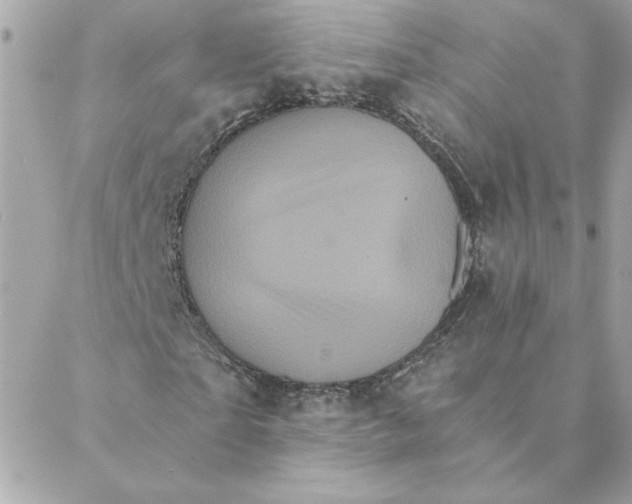 X0000088200865200706051229