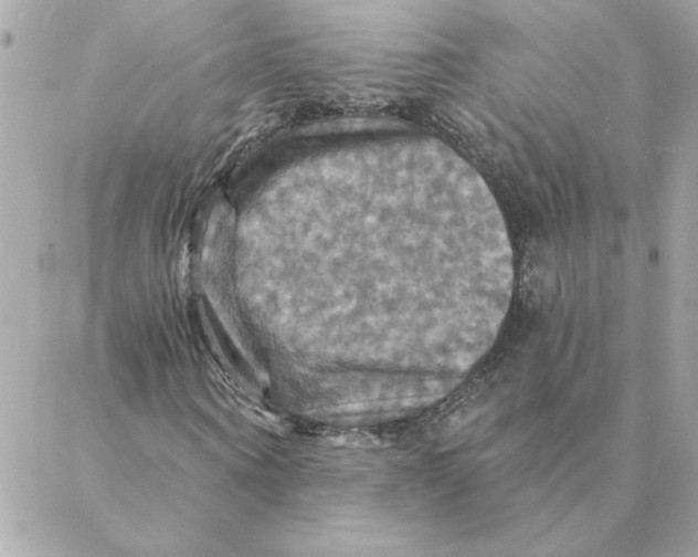 X0000088200866200706051229