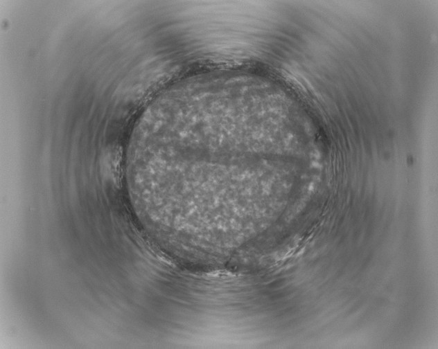 X0000088200867200706051229