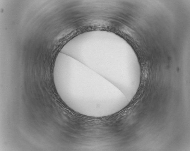 X0000088200869200706051229