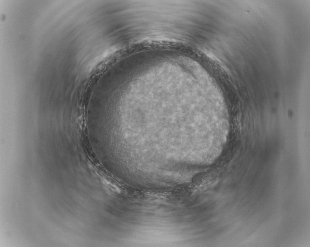 X0000088200870200706051229