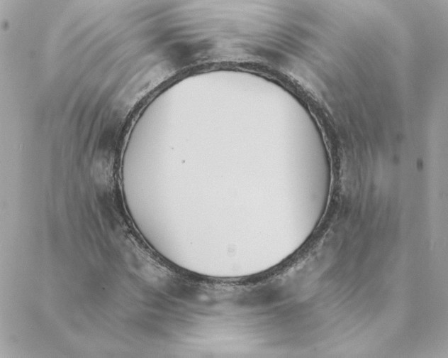 X0000088200873200706051229