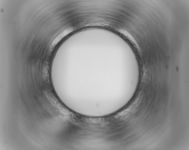 X0000088200874200706051229