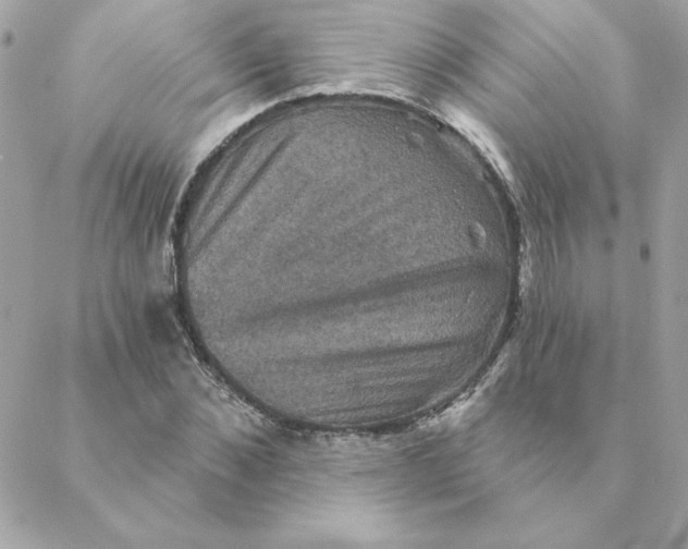 X0000088200876200706051229