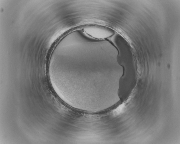 X0000088200877200706051229