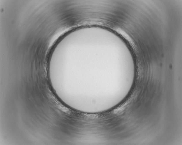 X0000088200878200706051229