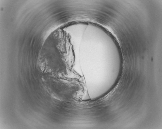 X0000088200879200706051229