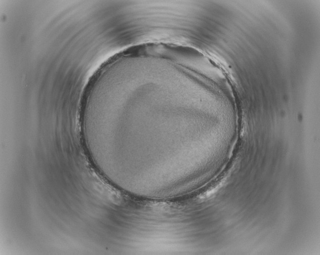 X0000088200880200706051229