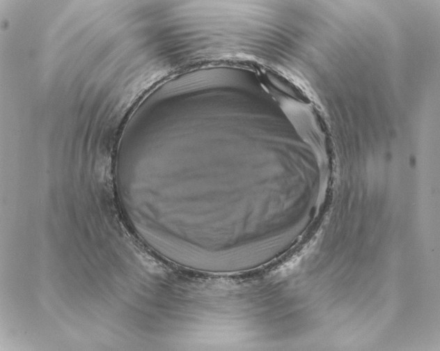 X0000088200881200706051229