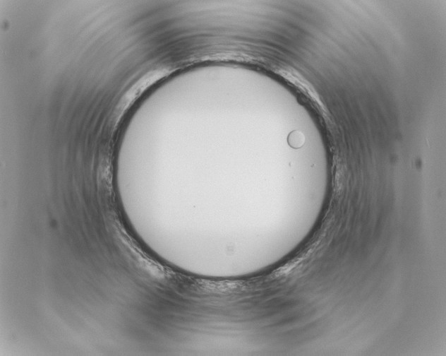 X0000088200882200706051229