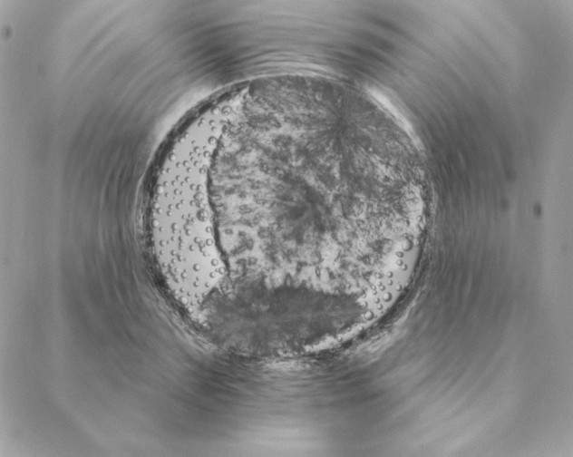 X0000088200883200706051229