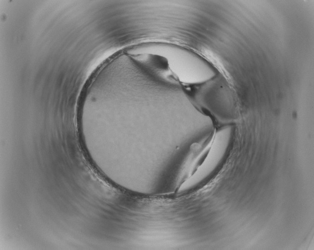 X0000088200884200706051229