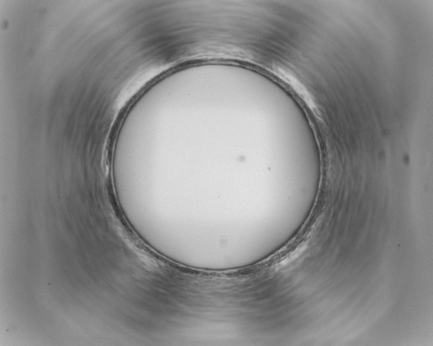 X0000088200885200706051229