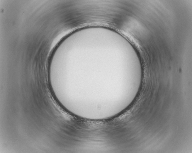 X0000088200886200706051229