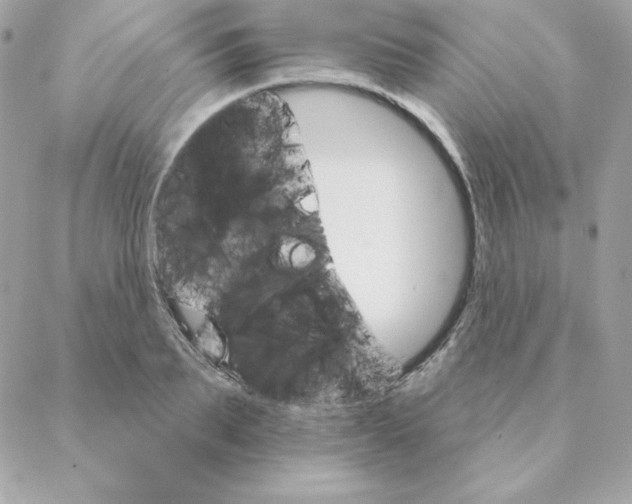 X0000088200887200706051229