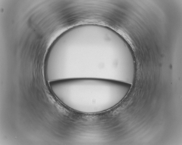 X0000088200888200706051229